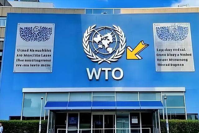 休克、邓丽君去世中国在破局中奔跑j9国际站WTO成立那年：俄罗斯(图8)